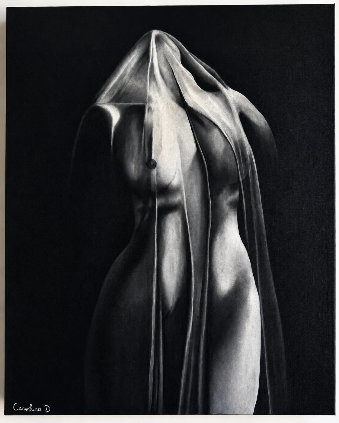 Carolina Delgado Rojas, Le Voile